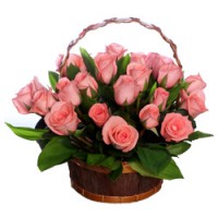 /album/anthurium/sepette-guller-jpg/